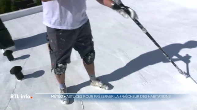 Face à la chaleur, la climatisation et l'aération aux heures les moins chaudes ne sont pas les seules solutions pour rafraîchir son logement. Il existe d'autres astuces, de plus en plus populaires, pour garder sa maison ou son appartement au frais efficacement.