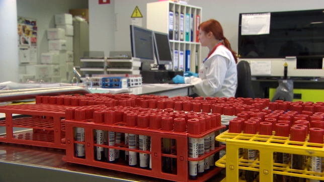 Le « Gwada négatif » devient officiellement le 48e système sanguin répertorié chez l’être humain.