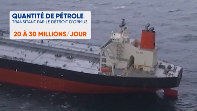20 % du pétrole mondial transite par ce détroit, ce qui représente 20 à 30 millions de barils par jour.