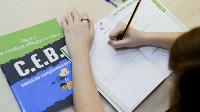 This picture shows a girl as she reads a Belgian Federation Wallonie-Bruxelles (Communaute Francaise de Belgique) Education Basic School exam book used to prepare the CEB (Certificat d’Etudes de Base) at the end of the sixth year primary school