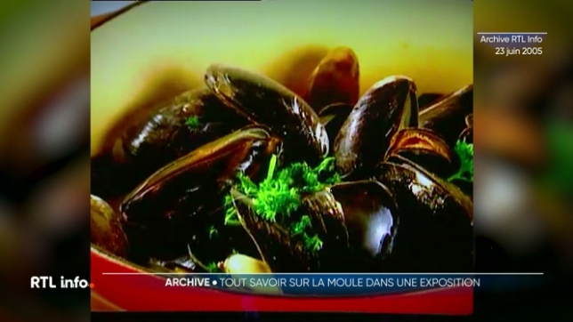 Il y a 20 ans, le musée des sciences naturelles consacrait une expo aux moules