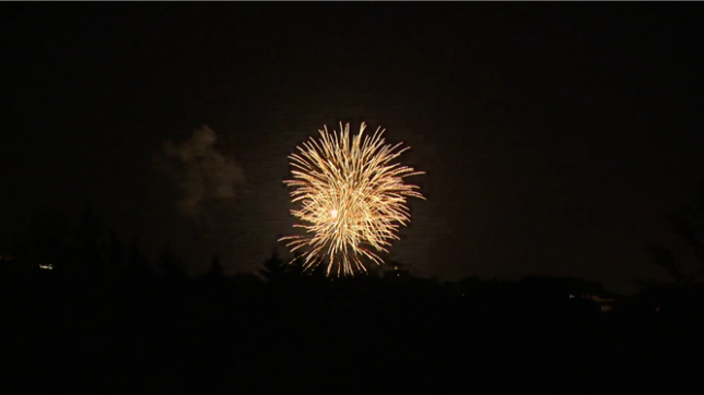 Fête nationale du Luxembourg: le Grand-Duc présent pour un concert dès la veille