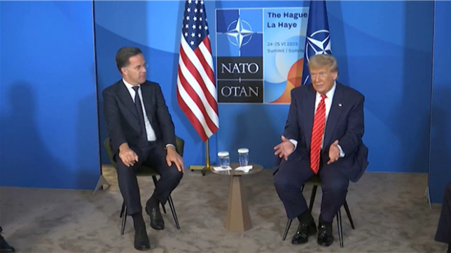 Alors qu'ils discutent en marge du sommet de l'Otan organisé aux Pays-Bas, le secrétaire général de l'Otan Mark Rutte utilise un surprenant surnom pour qualifier le président américain Donald Trump : Daddy (papa). Après la comparaison de Trump entre le conflit Iran-Israël et deux enfants qui se battent, Mark Rutte a enchaîné : Daddy doit parfois hausser le ton.