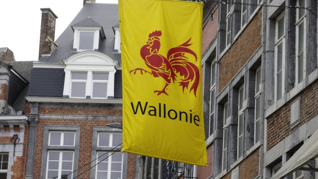 Le drapeau de la Wallonie