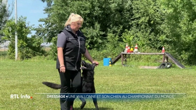 Laeticia Baré, originaire de Saint-Georges, partira pour l'Allemagne dans quelques jours. Avec son chien, Ron, un berger allemand, l'heure est aux derniers entraînements.