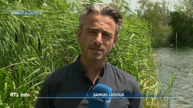 Les habitants d’Hermalle-sous-Argenteau (Oupeye) vont pouvoir se baladerà nouveau sur le site de la Gravière, même si le fameux caïman n'a pas été retrouvé. En direct, Samuel Ledoux explique que la réouverture se fait sous certaines conditions.
