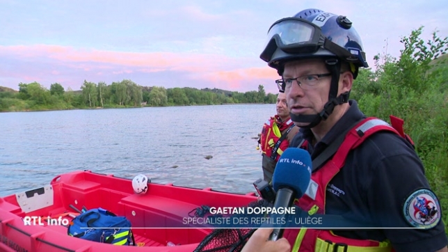 Des spécialistes des animaux sauvages ont passé une partie de la nuit à chercher le caïman aperçu il y a quelques jours au site de la gravière, à Oupeye. Mais ils ne sont pas arrivés à le capturer.