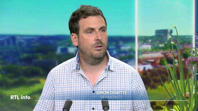 Invité du RTL info 13h, Simon De Witte donne ses conseils afin de préserver les jardins de la sécheresse et de la brûlure du soleil. Il propose quelques fleurs nécessitant peu d'entretien.