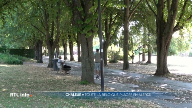 Toutes les provinces belges passeront par une vigilance orange à la chaleur d'ici à demain 18 heures. Une chape de plomb est stationnaire au-dessus du pays. Comment vivez-vous cette chaleur ?