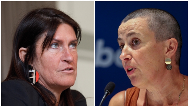 ipiccy_image (4).jpg