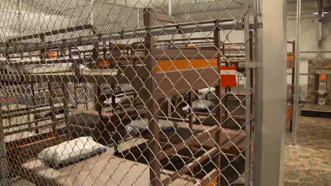 0a11f146-e0a3-479c-83af-0677a5c83986_Hi.mxf.00_00_03_21.Still001 (1).jpg