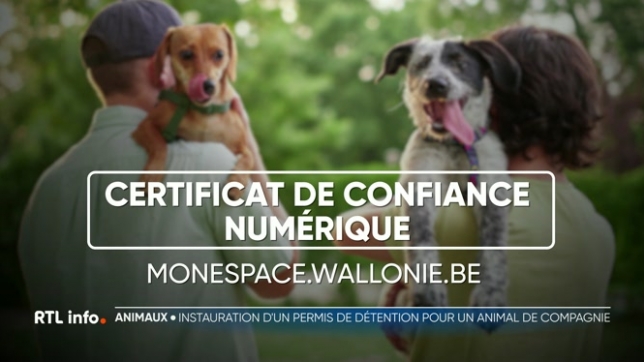 Le permis de détention obligatoire pour acquérir un animal de compagnie sera remplacé par un certificat de confiance numérique. Une mesure annoncée par le ministre-président Adrien Dolimont qui rassure les refuges et les associations, pourtant en désaccord avec lui. Explications.