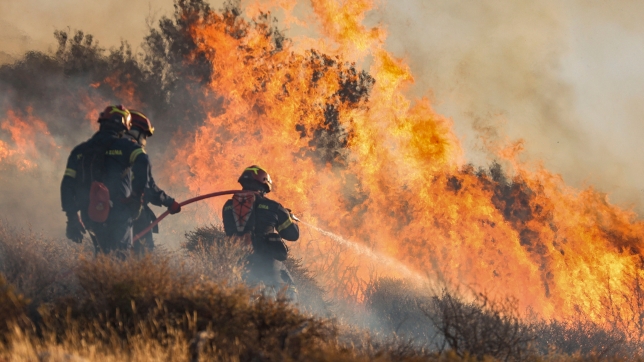 Des pompiers luttent contre un incendie de forêt qui s’est déclaré à Ierapetra, sur l’île grecque de Crète.
