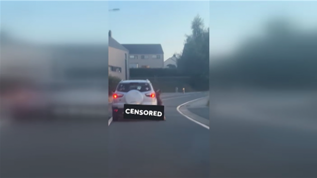 Victoria, une habitante de la région liégeoise, a partagé ce triste spectacle sur Facebook.