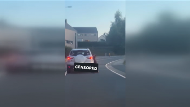 Victoria, une habitante de la région liégeoise, a partagé ce triste spectacle sur Facebook.