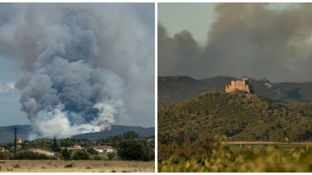 ipiccy_image - 2025-07-08T070837.107.jpg