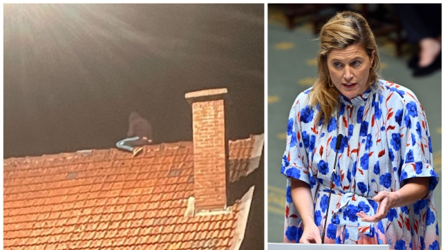 ipiccy_image (12).jpg