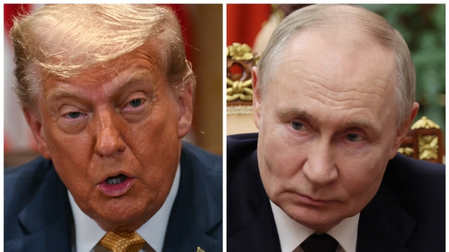 ipiccy_image (13).jpg