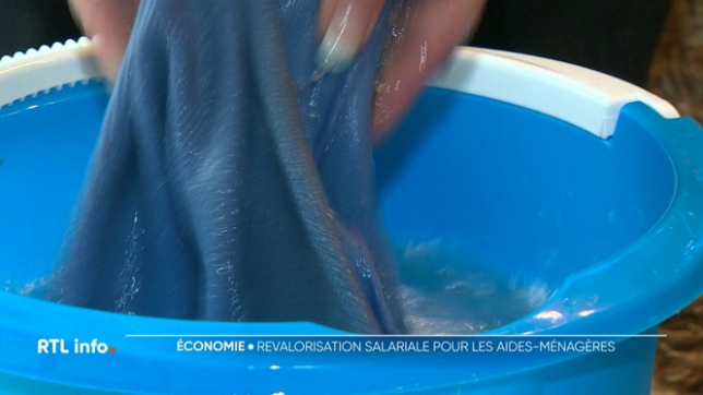 Une bonne nouvelle pour tous les travailleurs du secteur des titres services. Un accord a été conclu entre les partenaires sociaux pour augmenter leurs salaires. Une augmentation qui représente plusieurs centaines d'euros par an. Cela concerne les aides-ménagères en Wallonie et en Flandre.