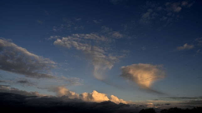 Belgaimage-108842419.jpg