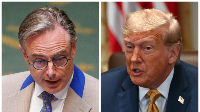 ipiccy_image (14).jpg