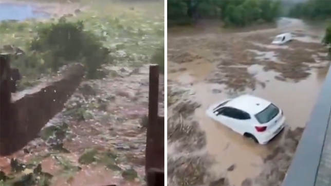 Captures d’écran de vidéos partagées sur X