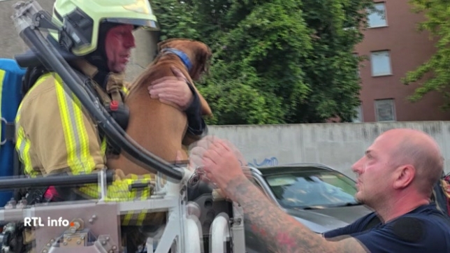 Une voiture a pris feu dans un parking souterrain d'un immeuble résidentiel hier soir. Une vingtaine de personnes ont été évacuées, quatre d'entre elles ont été intoxiquées par les fumées. On déplore une personne dans un état grave.