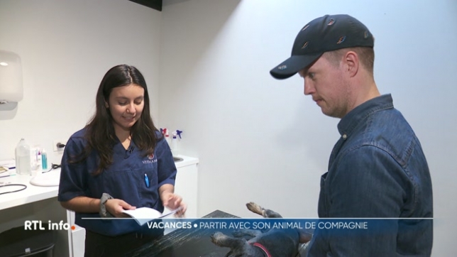 80% des Belges qui ont des animaux de compagnie les emmènent avec eux pour les vacances. Cependant, certains oublient qu'il y a pour cela des règles à respecter concernant notamment la vaccination, le transports ou encore des documents obligatoires. Le point sur les formalités à effectuer.