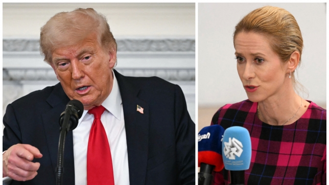 ipiccy_image (21).jpg