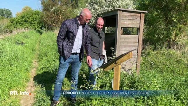 Une idée de sortie à faire, en famille pendant ces vacances d'été. A Mont-de-l'Enclus, dans le Hainaut, un sentier balisé vous emmène découvrir les oiseaux. C'est un circuit de 4 kilomètres où nichent plusieurs espèces.