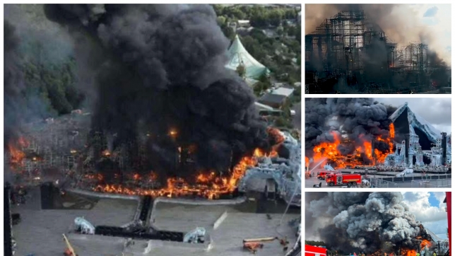 ipiccy_image (32).jpg