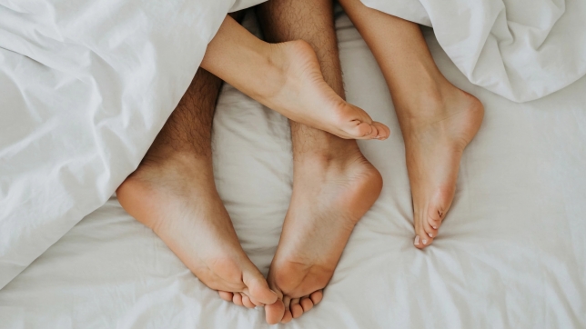 Image d’illustration