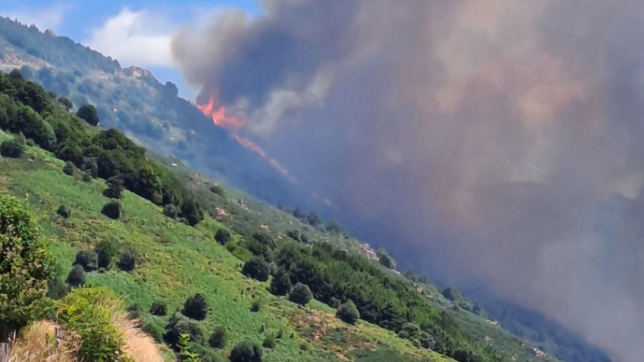 Capture d’écran 2025-07-17 185937.png