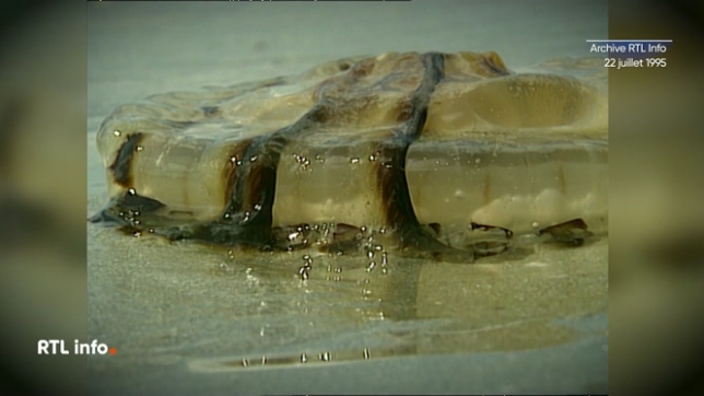 L'archive du jour remonte au 22 juillet 1995. Cet été-là à la Côte belge, il faisait bien plus beau qu'aujourd'hui. Mais les méduses pullulaient littéralement dans les eaux de la mer du Nord, et de nombreux touristes étaient victimes de leurs piqûres.