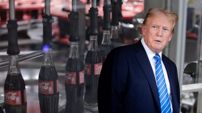 Photo détouré (16).png