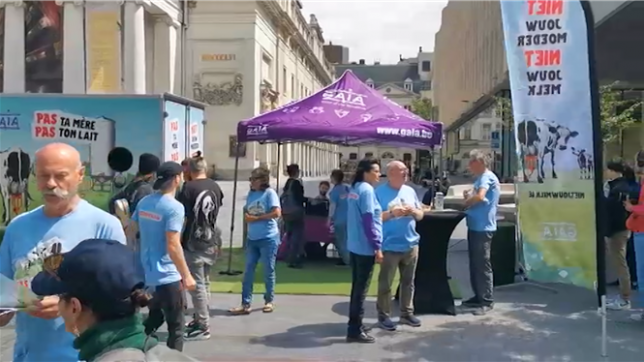L'organisation de défense des animaux Gaia a lancé mardi à Bruxelles sa nouvelle campagne contre les dérives de l'industrie laitière. Avec pour slogan choc Le lait, c'est naturel… si ta mère est une vache, l'association entend sensibiliser le public à travers une Tournée d'été dans douze grandes villes du pays, accompagnée d'une bouteille de lait géante.