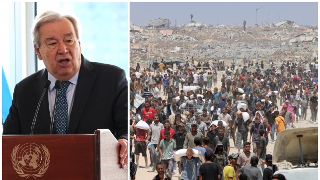 ipiccy_image (42).jpg