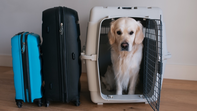 AdobeStock_493156410.jpeg