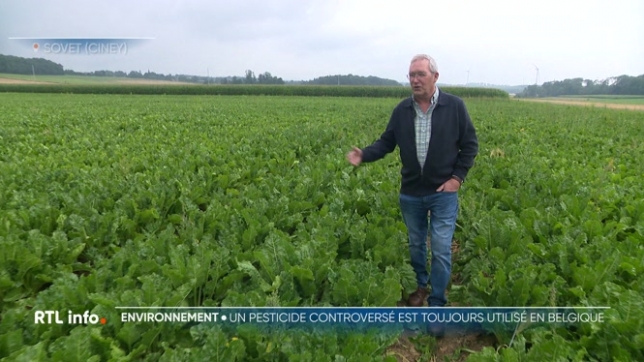La loi Duplomb prévoit, notamment, la réintroduction d'un pesticide interdit en France mais autorisé en Europe, ce qui a provoqué une levée de boucliers. Ce pesticide est utilisé chez nous, dans quels cas de figure ? Est-ce dangereux pour notre santé ?