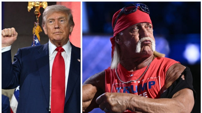 ipiccy_image (47).jpg