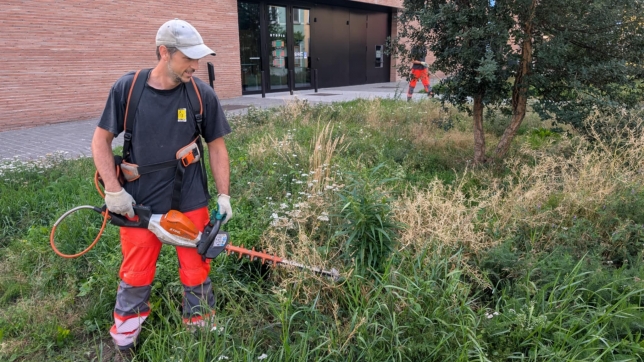 Un employé du service des espaces verts d’Alost