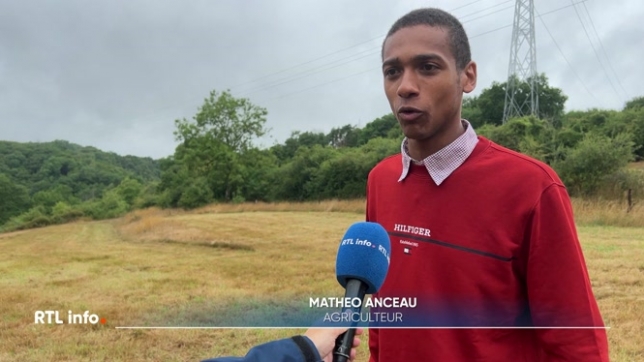 Dix agriculteurs sont en lice pour décrocher le titre de plus belle prairie de Wallonie. Matéo nous fait visiter sa ferme de Doische.