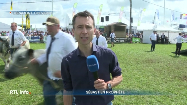 Les éleveurs bovins sont fiers de présenter chaque année leurs plus belles bêtes à la Foire de Libramont qui se déroule tout le week-end. L'un des moments les plus attendus de l'évènement est le concours national de Blanc Bleu Belge.