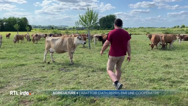 A Ath, l'abattoir local, menacé de fermeture, est sauvé, il va être repris par une coopérative d'éleveurs. Une initiative qui pourrait redonner de l’autonomie à toute une filière.