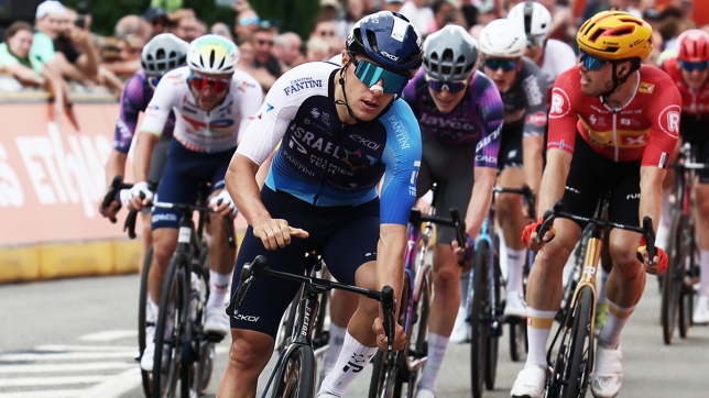 belgaimage-130061452_copie