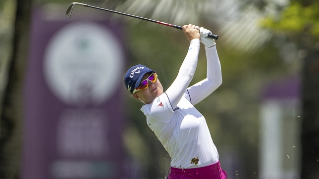 h_2.286868753{157917713} copie.jpg