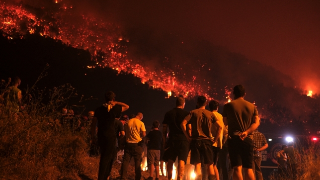 Incendie dans la région de Bursa, dans le nord du pays