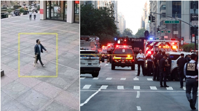 ipiccy_image (73).jpg