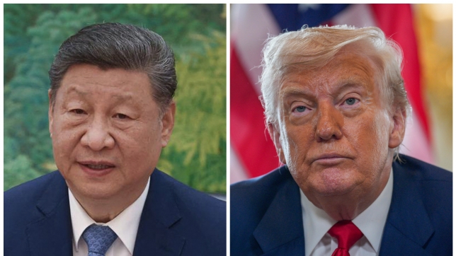 ipiccy_image (55).jpg