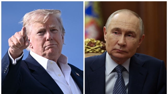 ipiccy_image (56).jpg